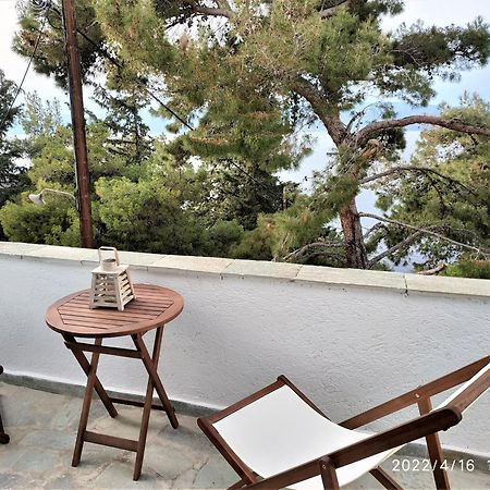 Pine Trees And Sea View Houses In Hydra - Daphne, Chloe, Myrto, Eleni Bilik gambar