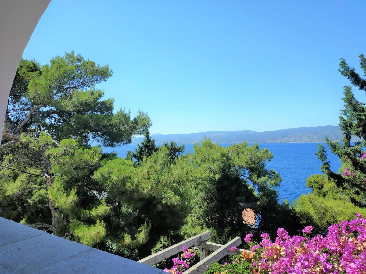 Pine Trees And Sea View Houses In Hydra - Daphne, Chloe, Myrto, Eleni Luaran gambar