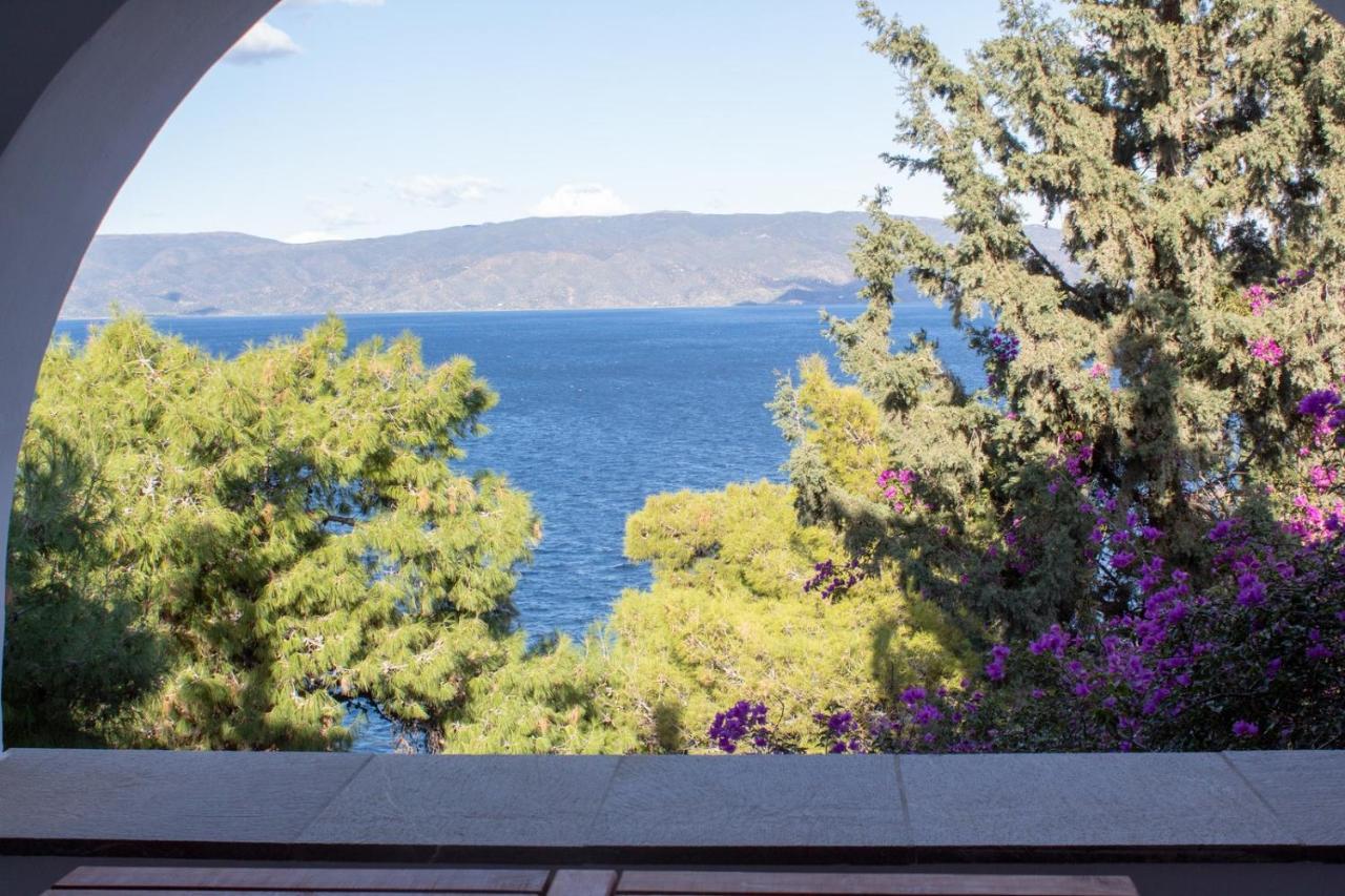 Pine Trees And Sea View Houses In Hydra - Daphne, Chloe, Myrto, Eleni Luaran gambar