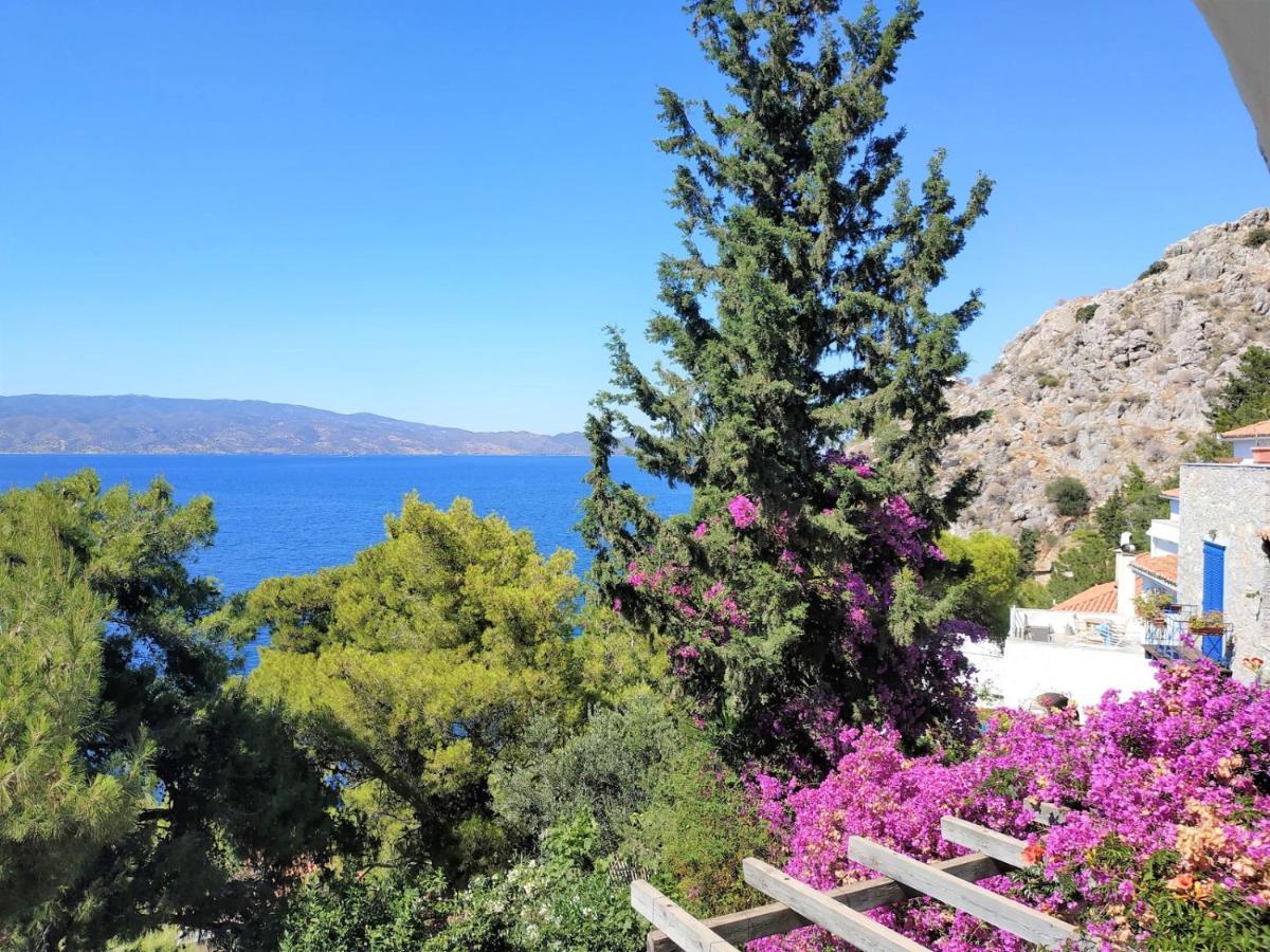 Pine Trees And Sea View Houses In Hydra - Daphne, Chloe, Myrto, Eleni Luaran gambar