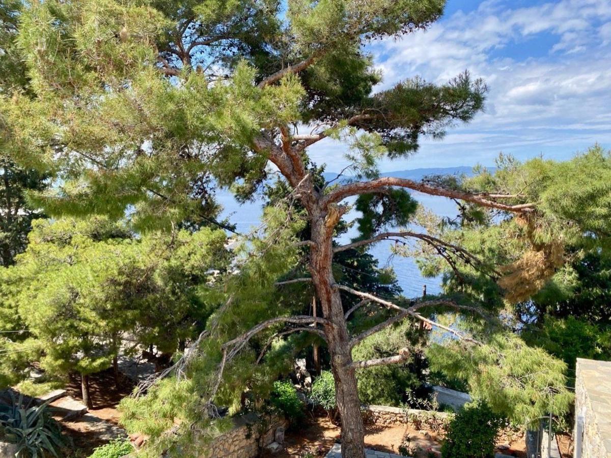 Pine Trees And Sea View Houses In Hydra - Daphne, Chloe, Myrto, Eleni Luaran gambar