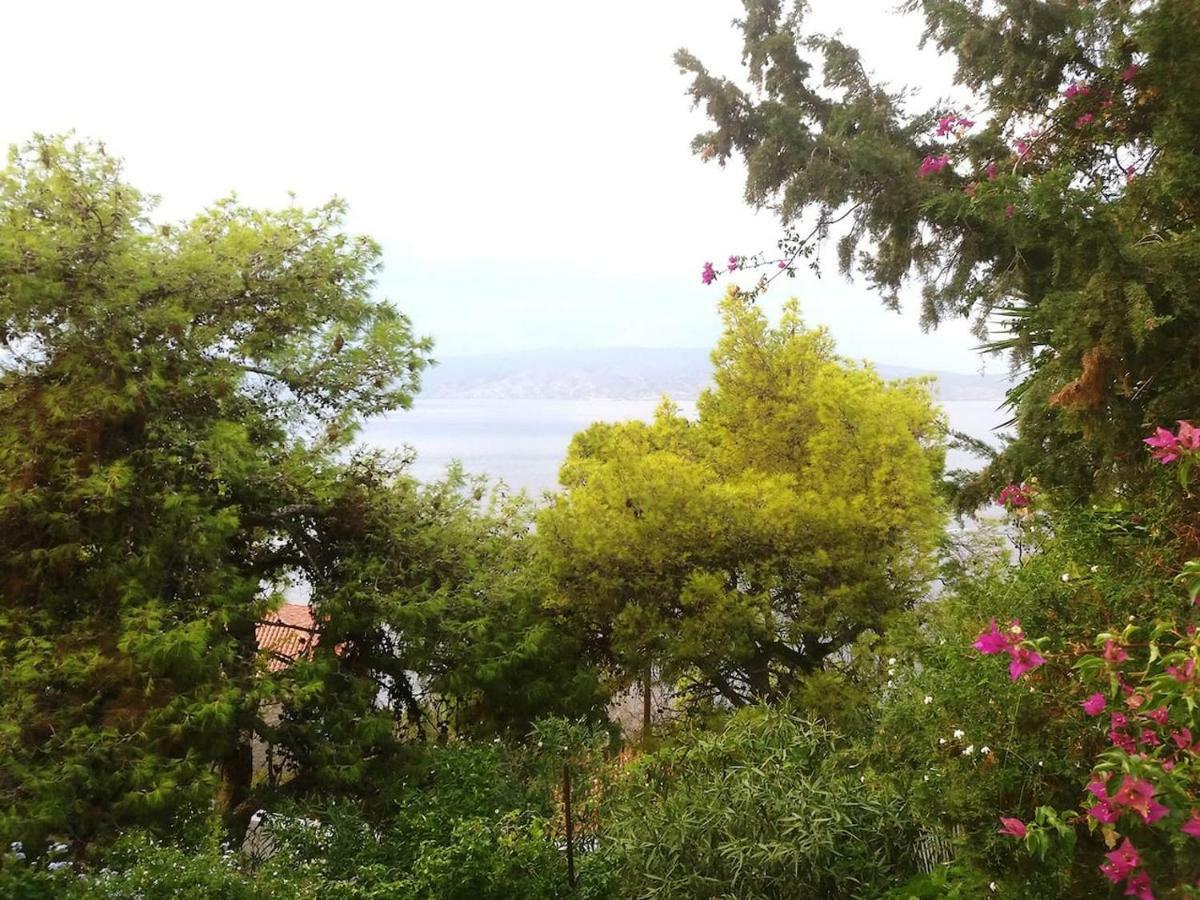 Pine Trees And Sea View Houses In Hydra - Daphne, Chloe, Myrto, Eleni Luaran gambar