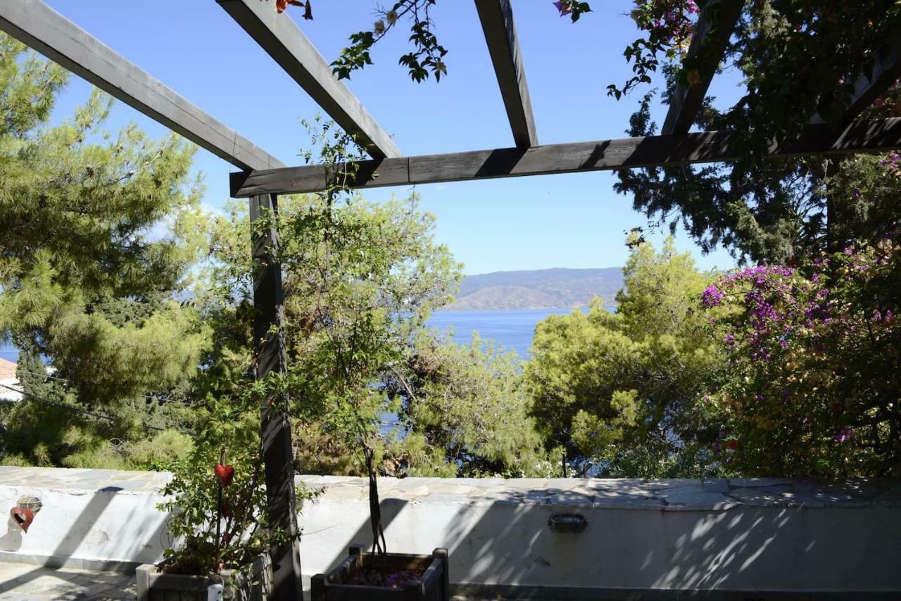 Pine Trees And Sea View Houses In Hydra - Daphne, Chloe, Myrto, Eleni Luaran gambar