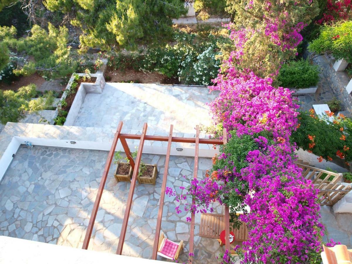 Pine Trees And Sea View Houses In Hydra - Daphne, Chloe, Myrto, Eleni Luaran gambar